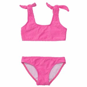 Bubblegum Bloom Crop Bikini