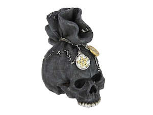 Black Skull in Money Bag