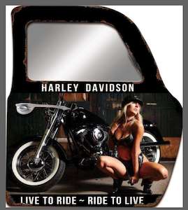 Gift: Wall Art Metal Car Door - Live to ride