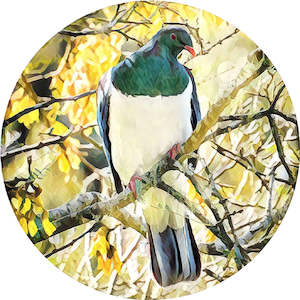 Kereru Print on Glass