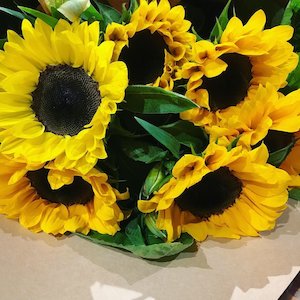 Sunflowers