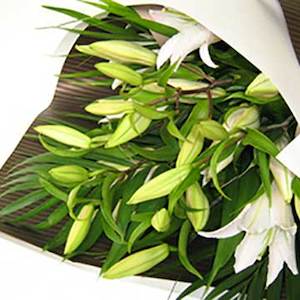 Florist: Oriental Lily Bouquet