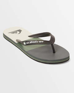 Quiksilver Mens Molokai Stripe Flip-Flops - GREEN 5