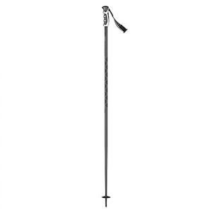 Sporting equipment: Scott Slight Srs Poles