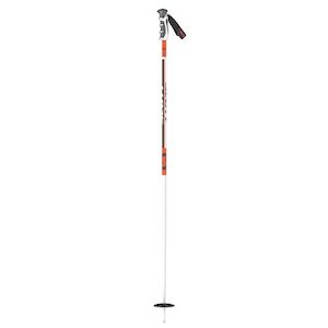 Sporting equipment: Scott Team Issue Srs Pole