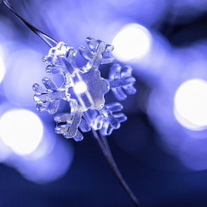 snowflakes seed light string