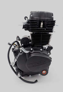 Lifan 250cc Engine with Electric starter (4T312) + Loom Electric Components