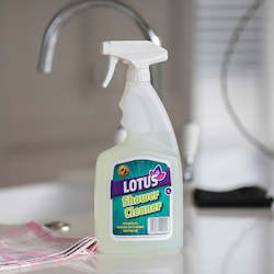 Frontpage: Shower Cleaner 1L