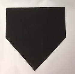 Sporting equipment: SSS Home Plate