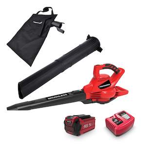 Powerworks 40V blower/vac 5ah  kit