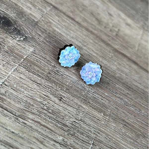 Stud Earrings - Light Blue Succulents