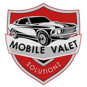 Credit card administration: Mobile Valet Solutionz  - Northland