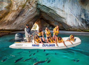 Hahei Explorer Cathedral Cove Boat Tour - Coromandel