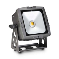 CAMEO FLAT PRO FLOOD IP65 WW Outdoor Flood Light with 50 Watt Warm White COB LED