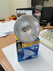 PAR 30 100W ES Lamp GE