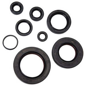 Motorcycle or scooter: Oil Seal Kit Moose RM250 03-05 Kit