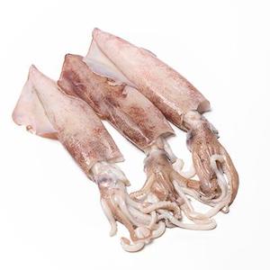 Tackleman Squid Bait Nz Arrow 1kg Frozen