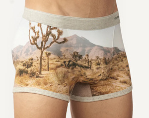 Stonemen Boxer Brief - Joshua Tree Last One Was $50 Now