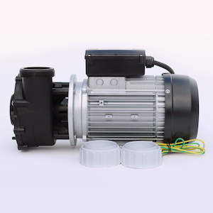 Spa Pumps: LX 2 Speed Pump 2" WP250-II