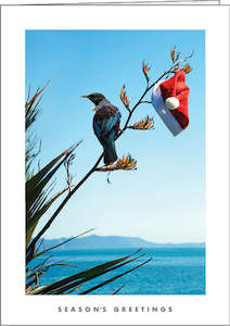 Graphic design service - for advertising: NZ306 Tui - 200 left