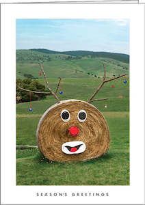 Graphic design service - for advertising: NZ305 Hay Bale Rudolph