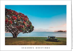 Graphic design service - for advertising: NZ302 Pōhutukawa picnic