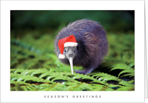 Graphic design service - for advertising: NZ701 Christmas Kiwi