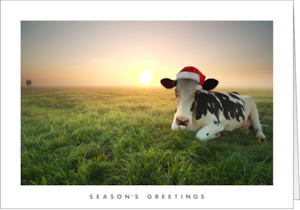 Graphic design service - for advertising: NZ205 Moo-ry Christmas