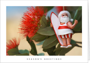 Graphic design service - for advertising: NZ202 Pōhutukawa Santa - Sold out