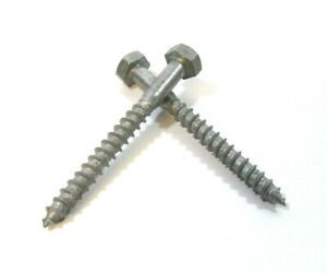 Coach screw