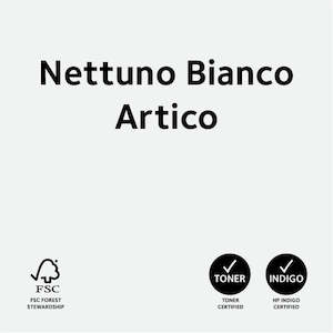 Paper wholesaling: Nettuno Bianco Artico