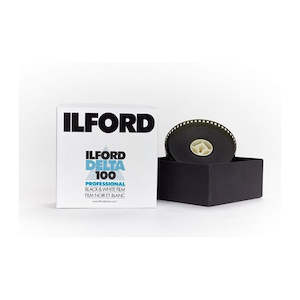 Photographic equipment: Ilford Delta 100 (135, 30m, 100ISO)