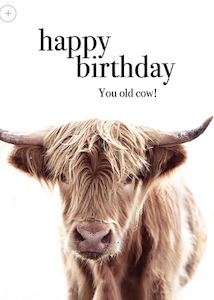 Affirmations Card - You old cow birthday card