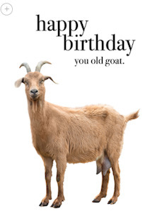 Affirmations Card - HB you old Goat