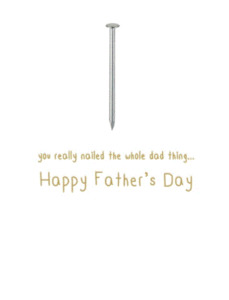 icandy card - Fathers Day - nailed it