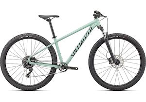 Bicycle and accessory: 2022 Rockhopper Comp 29