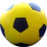 Sporting equipment: Ki-O-Rahi Ball