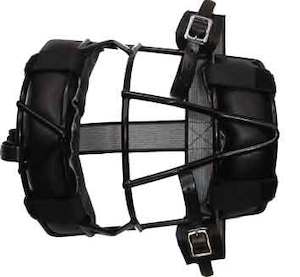 Sporting equipment: Softball Mask