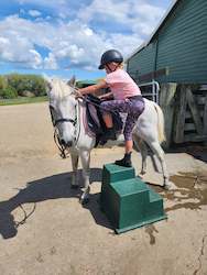 Stable Grooming: Mounting Block