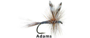 Dry Fly Till I Die: Adams