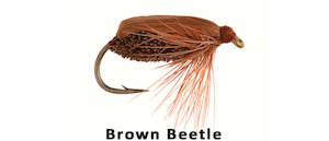 Dry Fly Till I Die: Brown Beetle