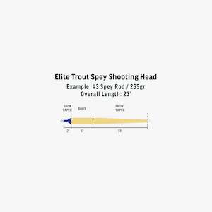 RIO Elite Trout Spey Shooting Head #4 (305gr)