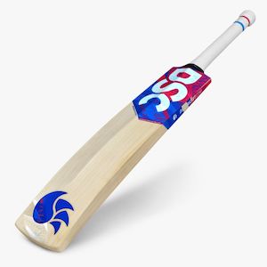 DSC INTENSE PASSION CRICKET BAT – SH