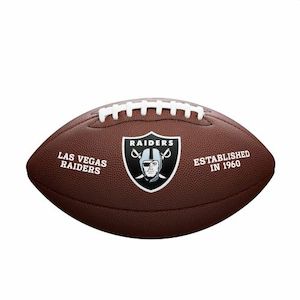 Balls: WILSON NFL BACKYARD LEGEND BALL