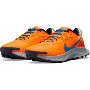 Running: NIKE MENS PEGASUS TRAIL 3