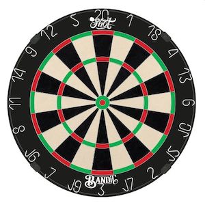 Dartboard Equipment: SHOT BANDIT DARTBOARD | GEN 4