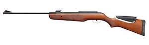 Sporting equipment: 150253     ~ GAMO AIR RIFLE HUNTER DX .22