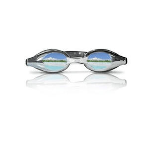 420317     ~ GOGGLES MIRROR SIL.