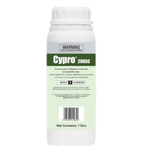 Cypro Alto Fungicide 1L for rust control