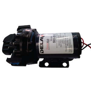 SS Delavan 12V Pump QC 11.2L 60psi